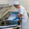 ECOLAB Apex Manual Detergent твердое средство для ручной мойки посуды