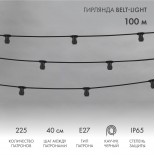 Гирлянда Belt-Light 2 жилы,  100м,  шаг 40см,  225 патронов E27, IP65, черный провод NEON-NIGHT