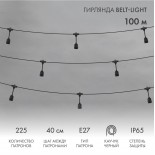 Гирлянда Belt-Light 2 жилы,  100м,  шаг 40см,  225 подвесных патронов Е27, IP65, черный круглый провод NEON-NIGHT